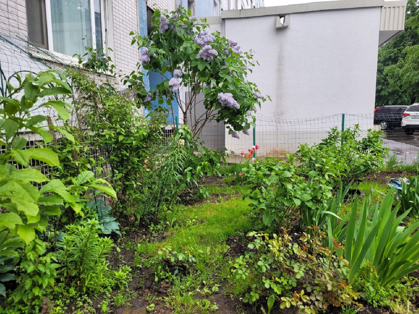 люди; добро; сад; добрые дела