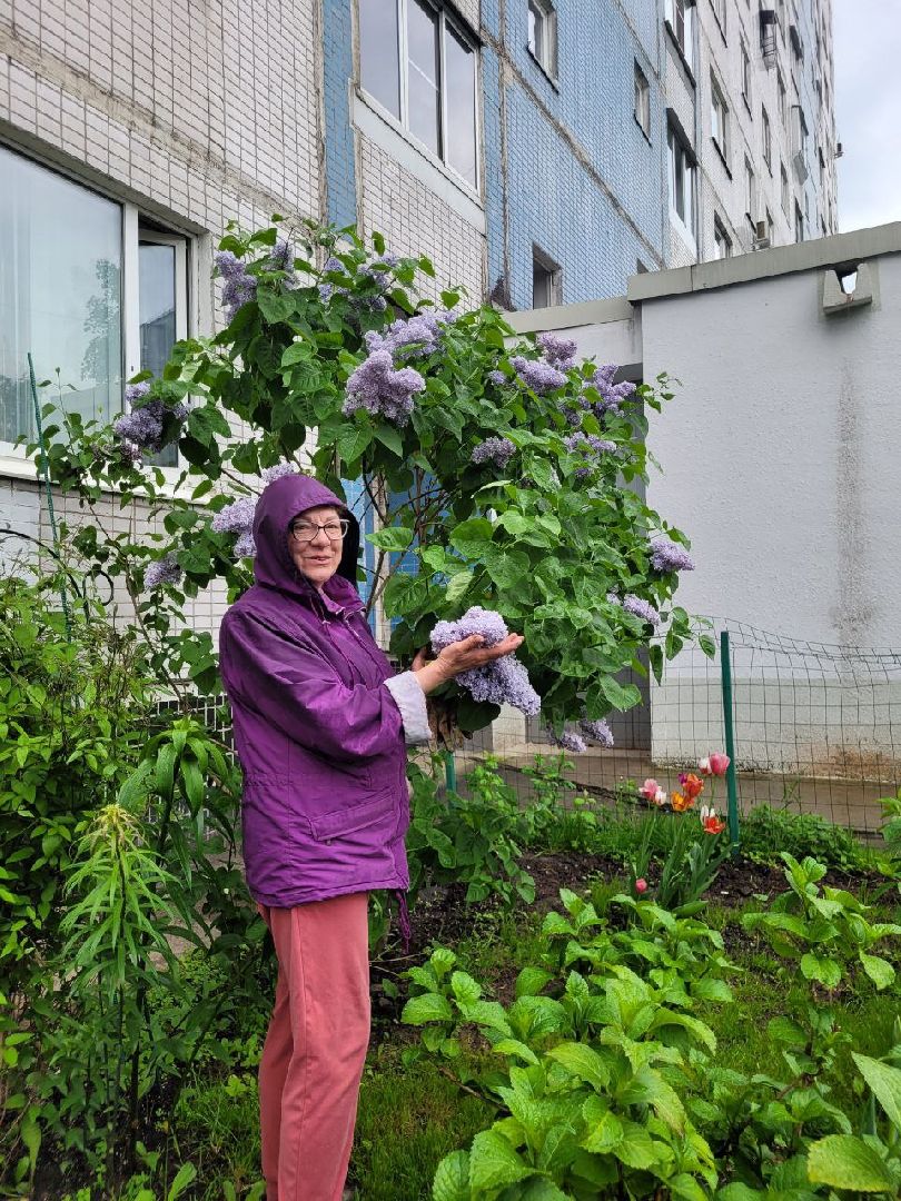 люди; добро; сад; добрые дела