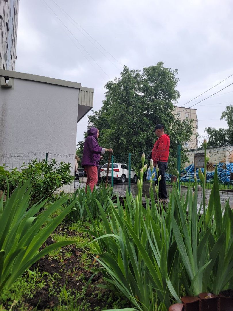 люди; добро; сад; добрые дела