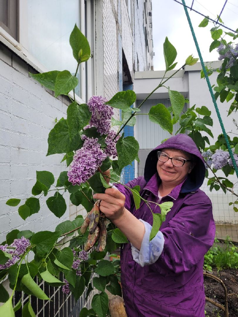 люди; добро; сад; добрые дела