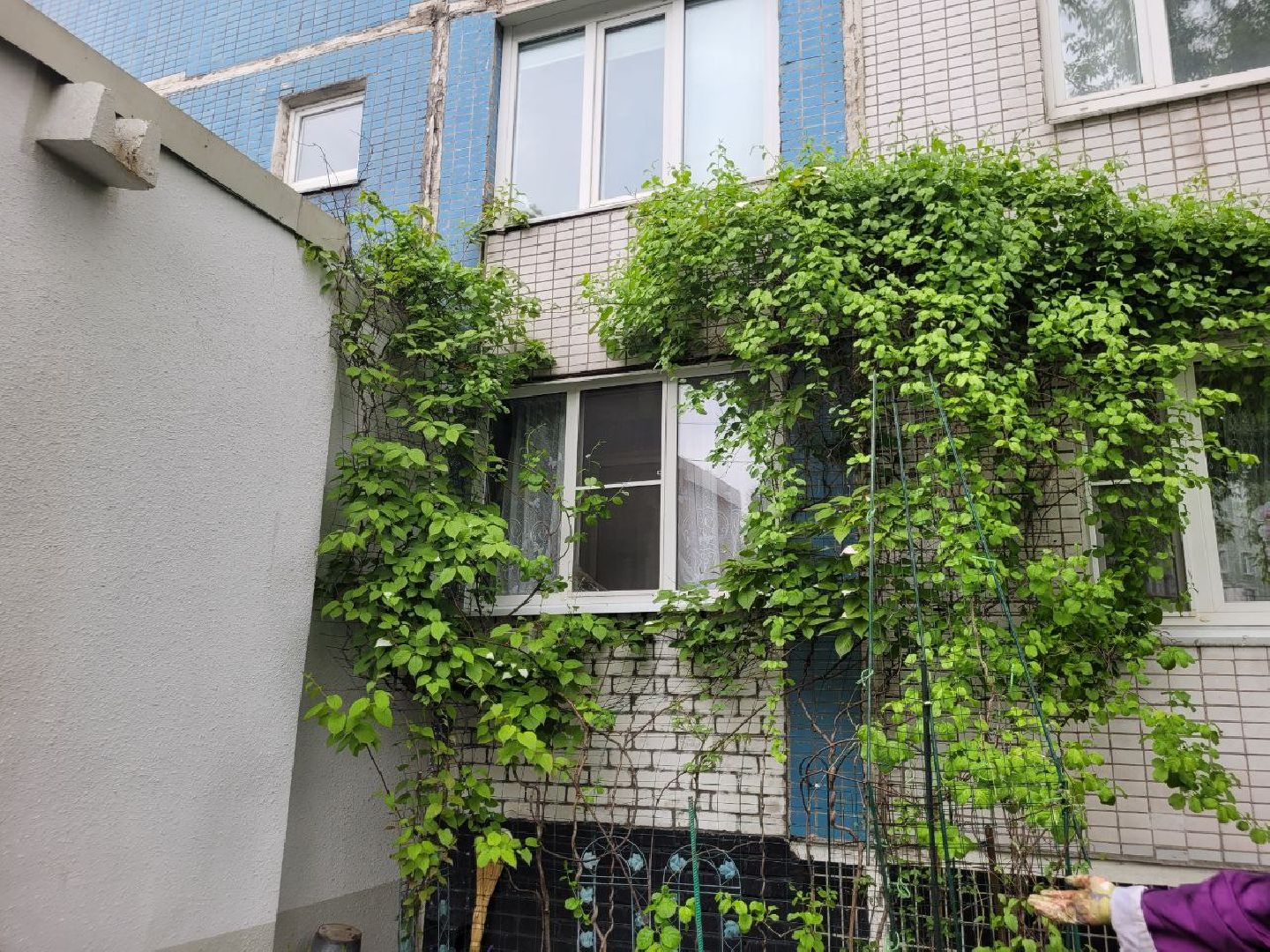 люди; добро; сад; добрые дела