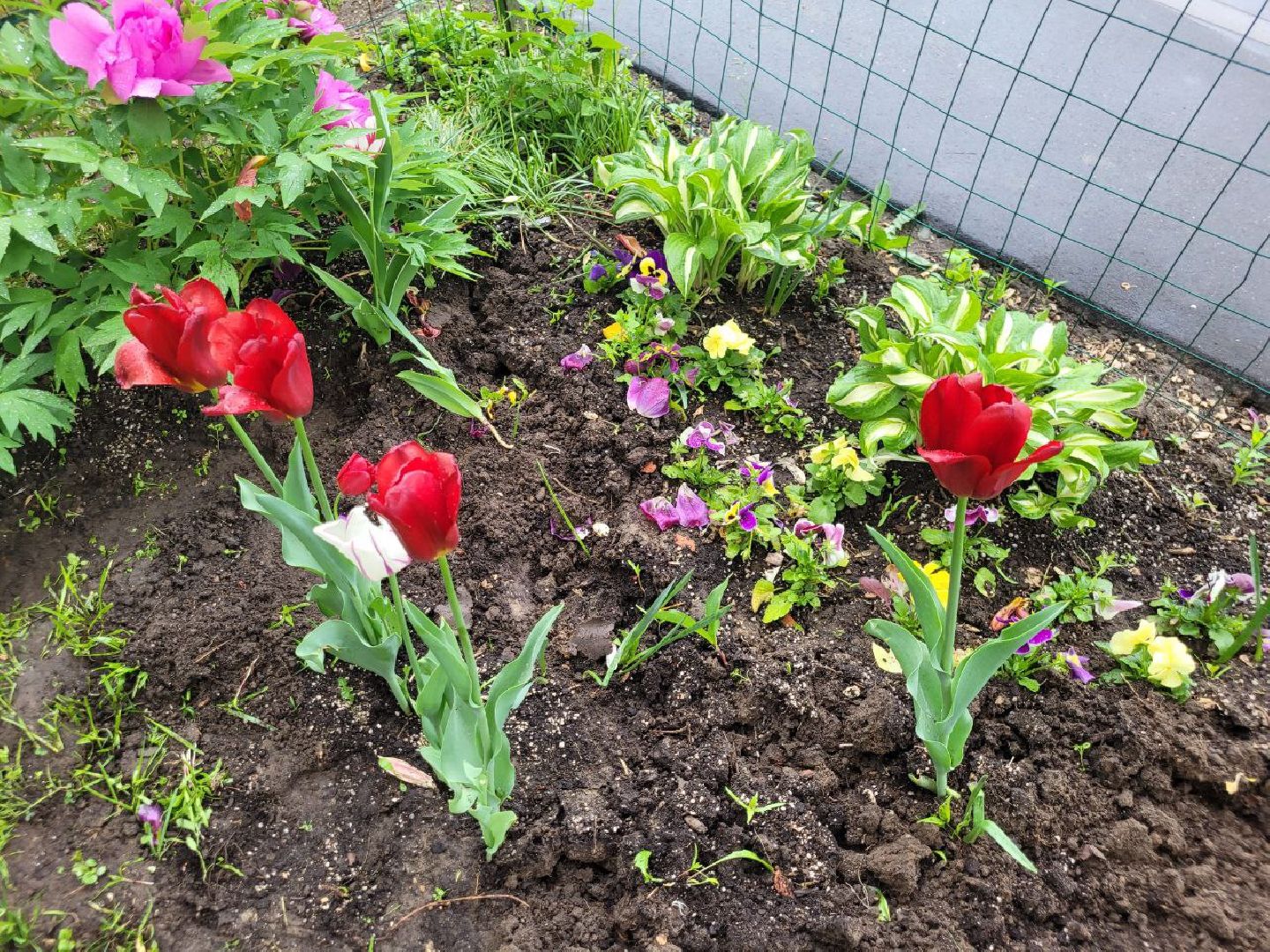 люди; добро; сад; добрые дела