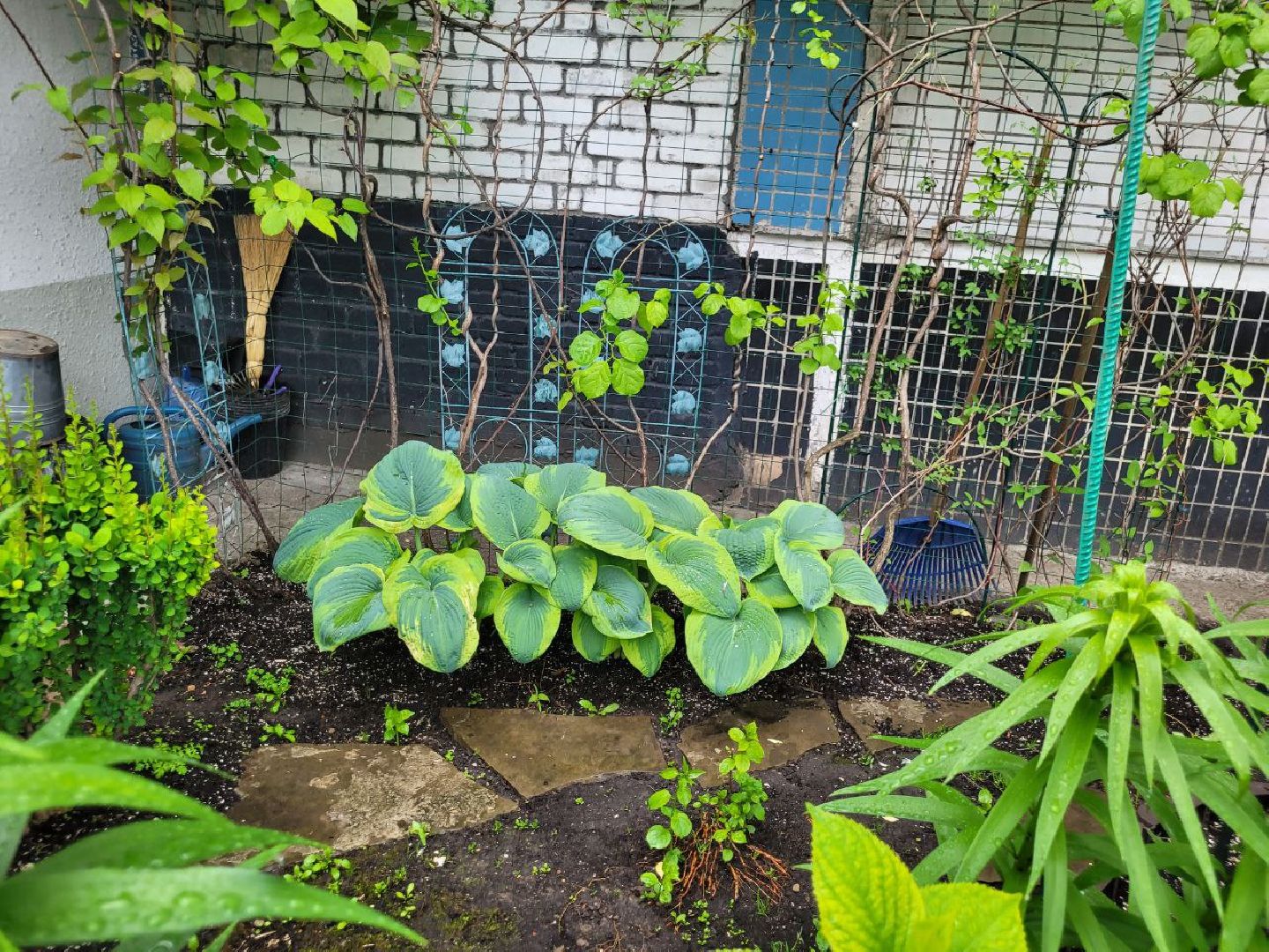 люди; добро; сад; добрые дела