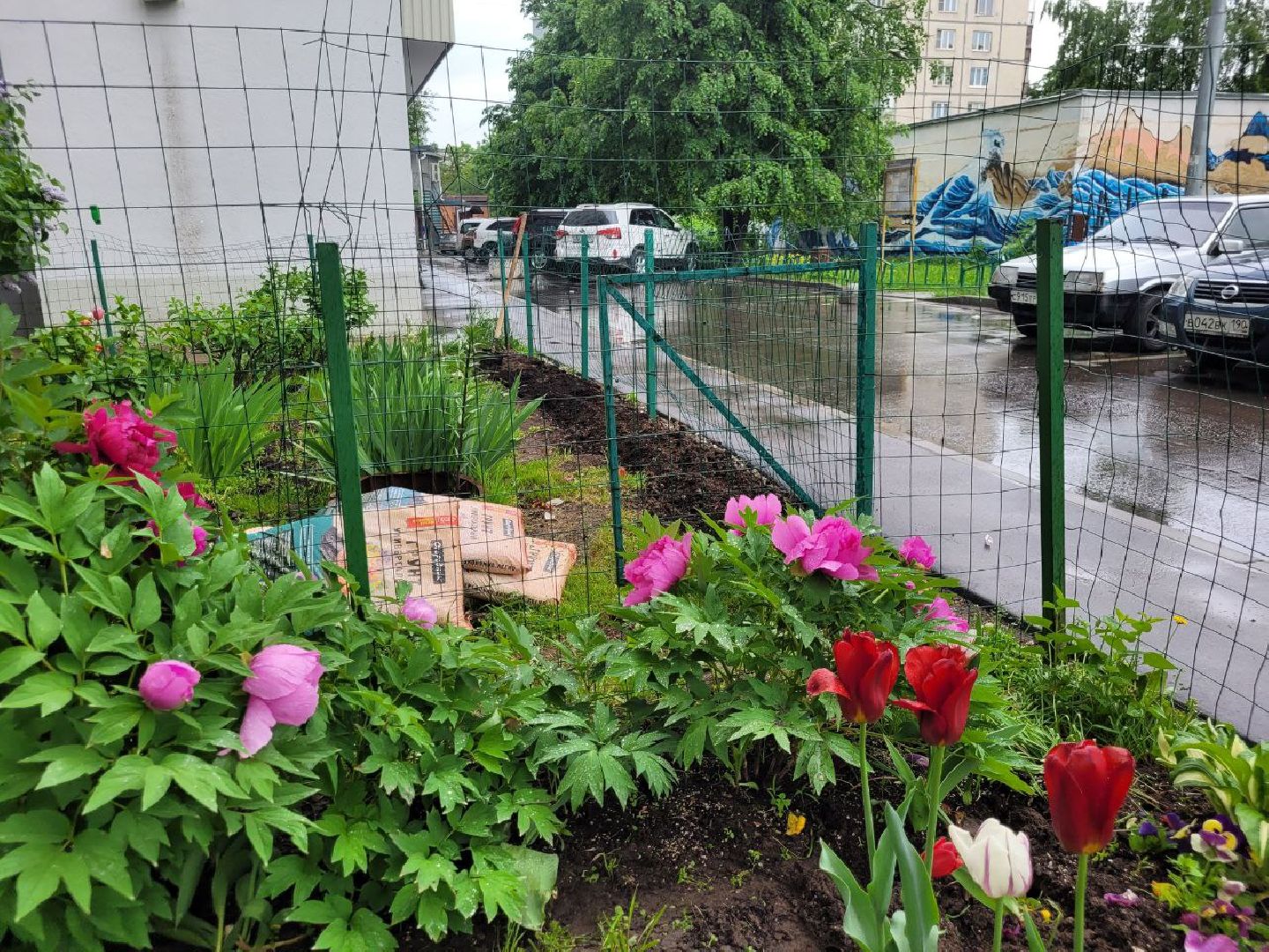 люди; добро; сад; добрые дела