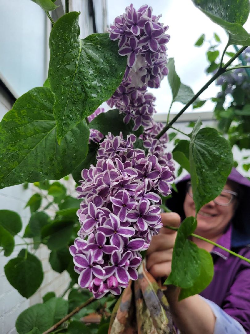 люди; добро; сад; добрые дела