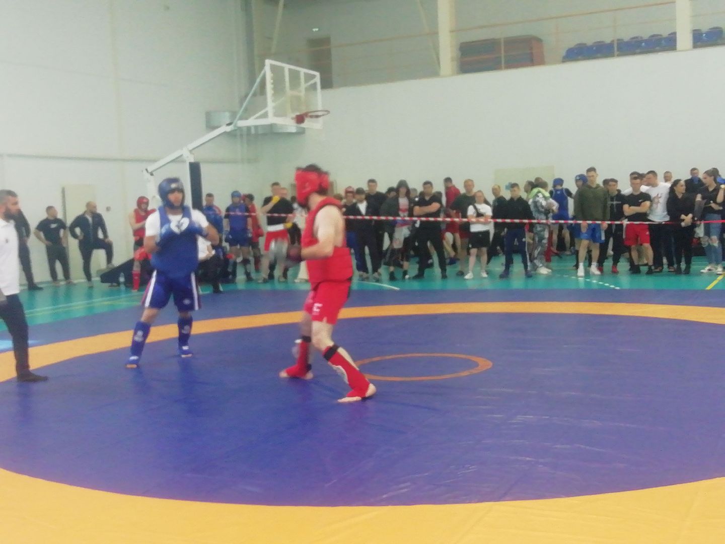 Звенигород, парк-отель