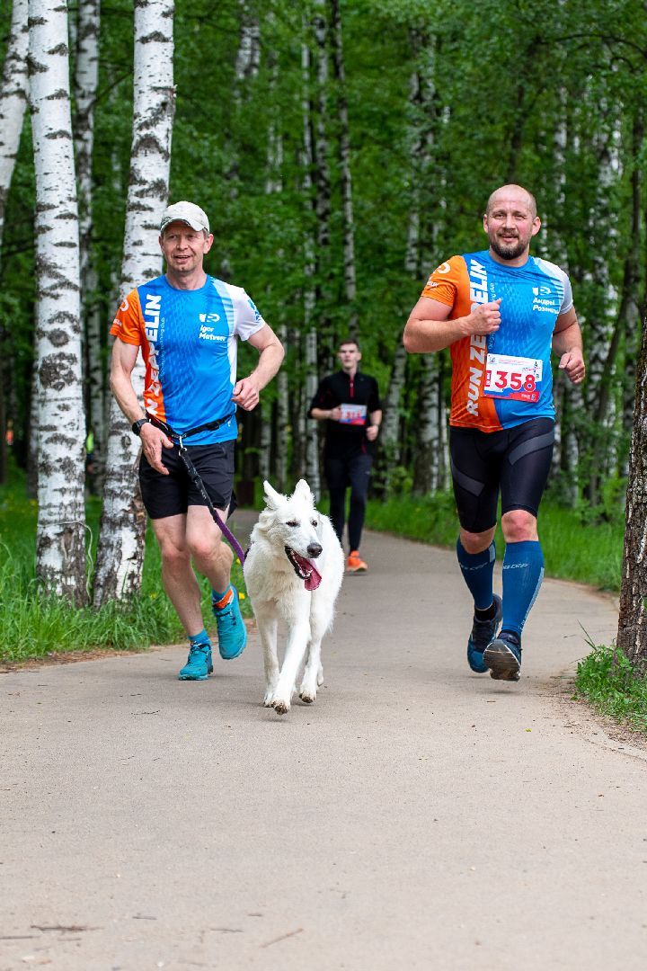 Лобня, спорт, собака