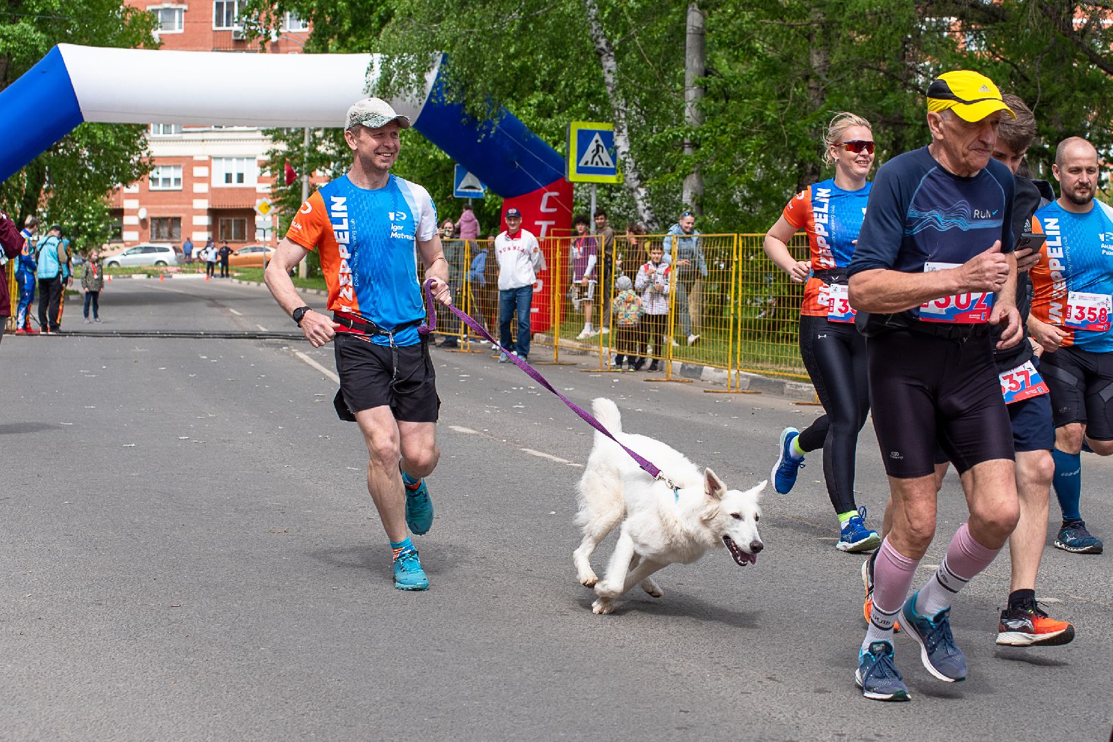 Лобня, спорт, собака