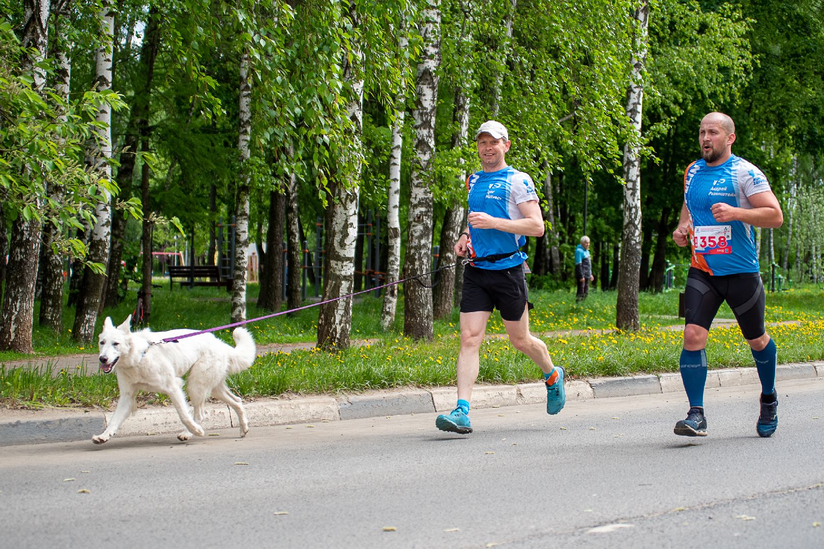 Лобня, спорт, собака