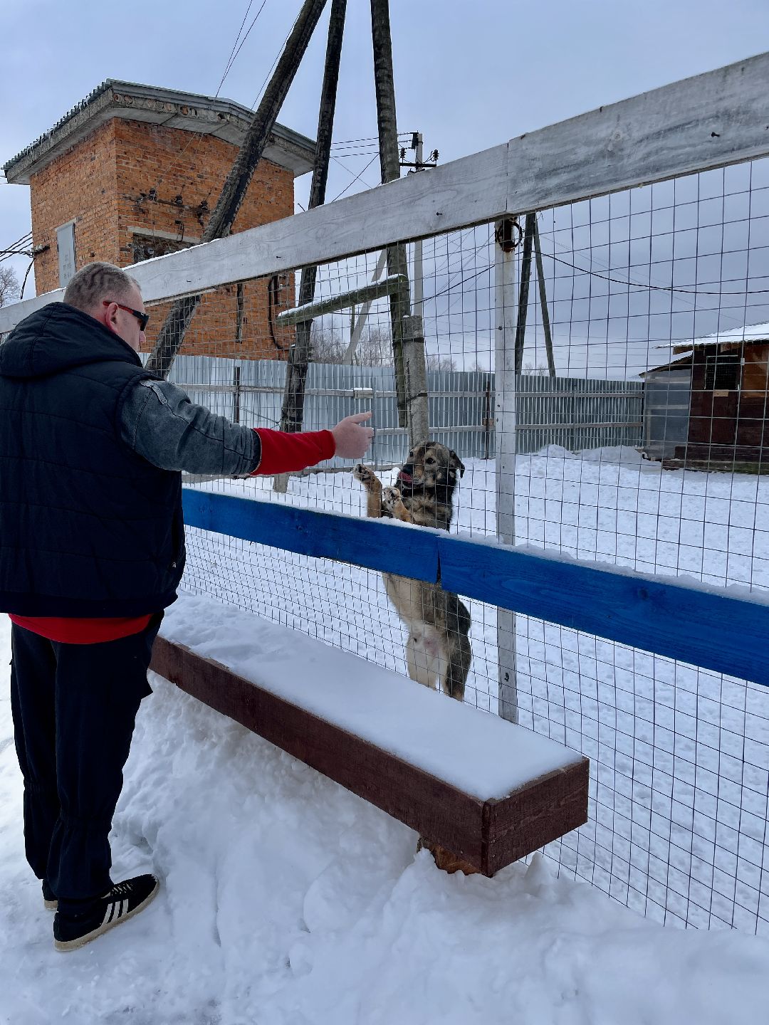 Клин, общество