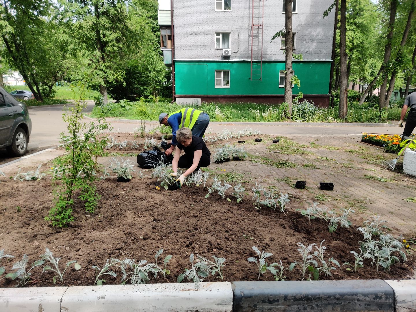 Красноармейск, Пушкинский, благоустройство, клумбы, цветы