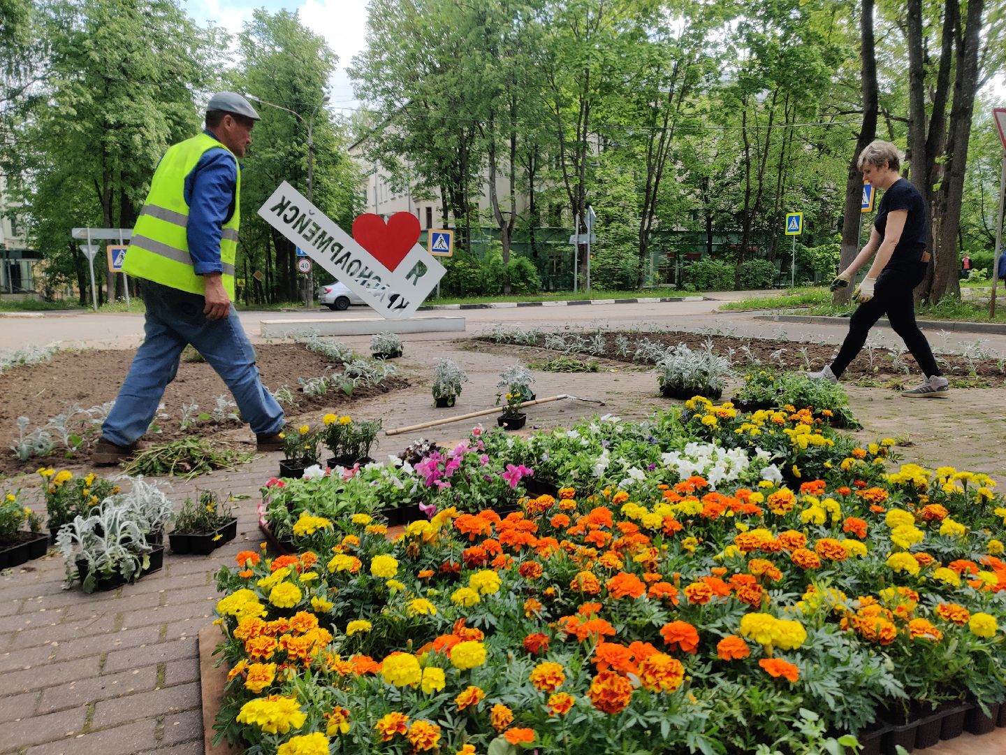 Красноармейск, Пушкинский, благоустройство, клумбы, цветы