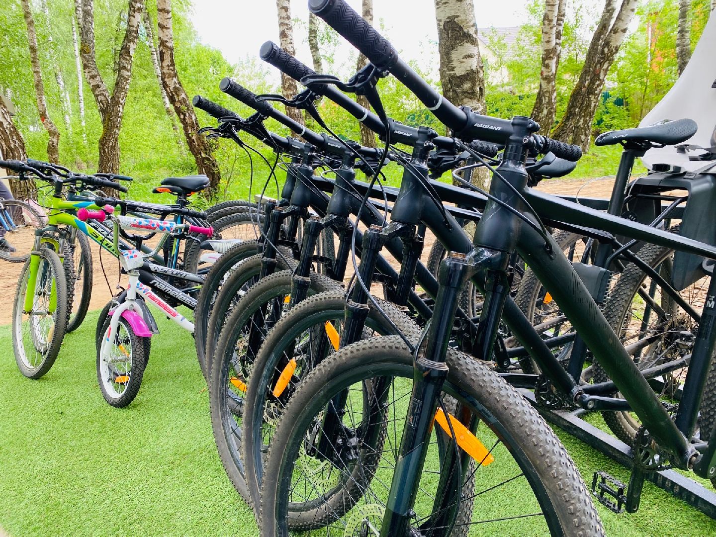 Домодедово, парк, велопрокат