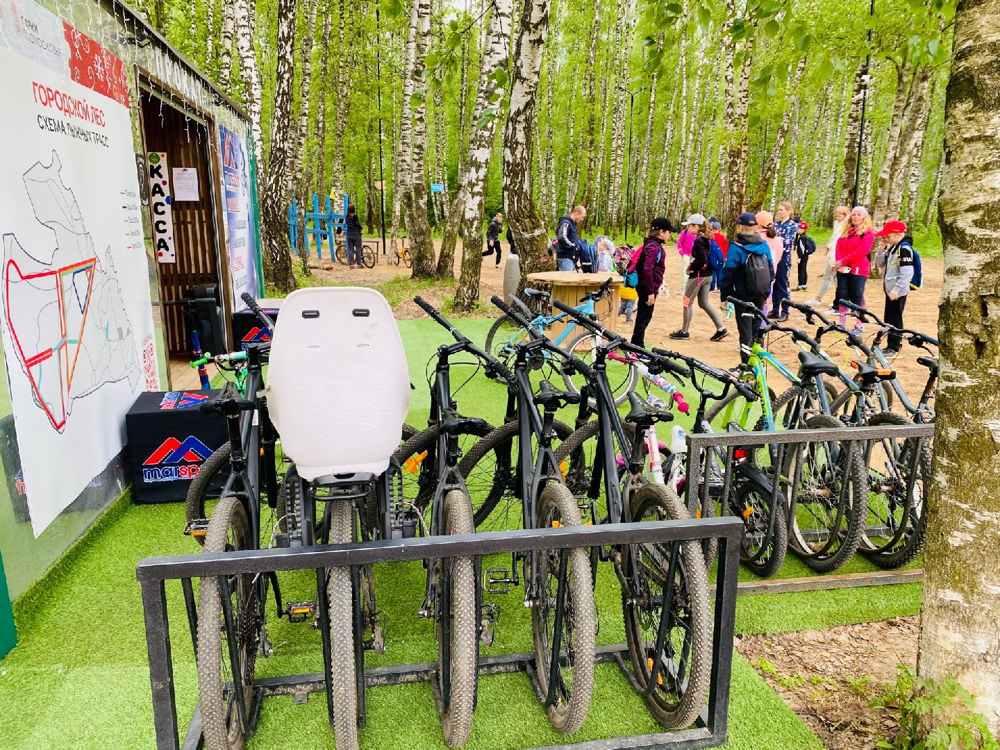 Домодедово, парк, велопрокат