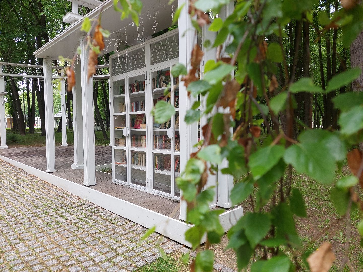 букроссинг, парки Подмосковья, парк Кривякино, общество