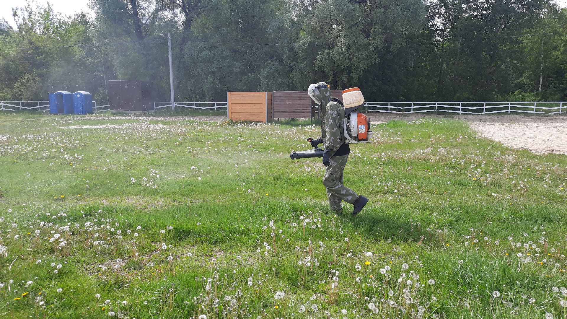 Шатура, клещи, обработка, санитарная обработка зон отдыха.