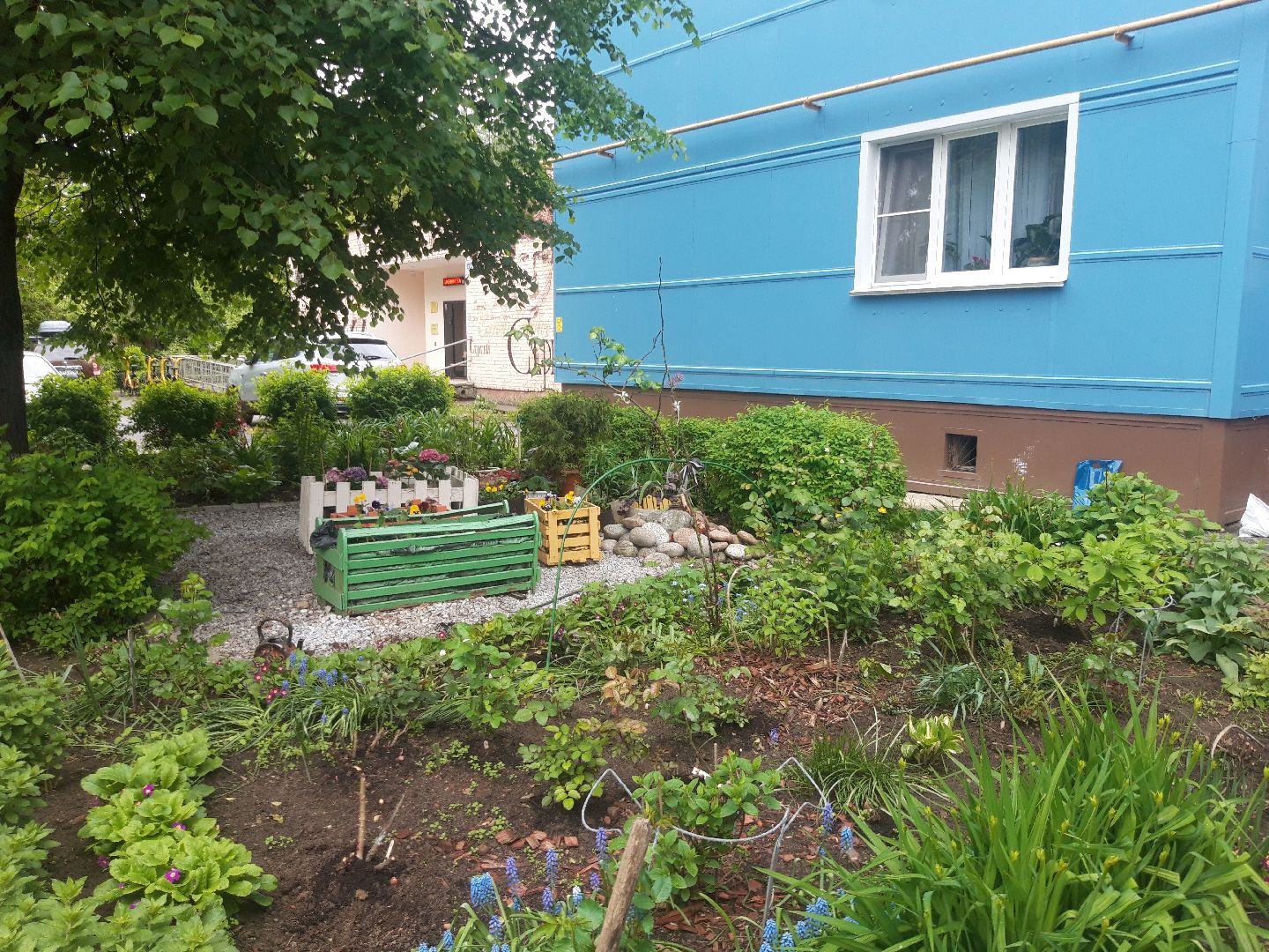 двор, доброе дело,