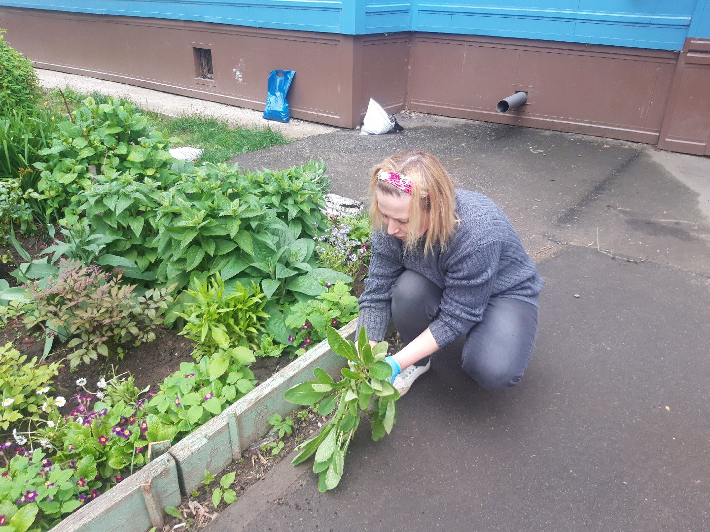 двор, доброе дело,