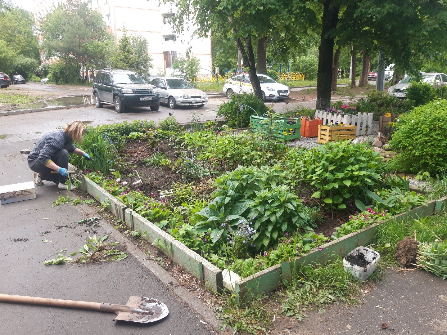 двор, доброе дело,