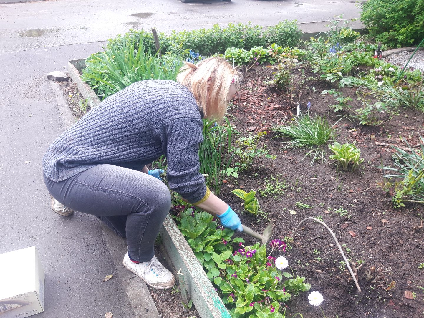 двор, доброе дело,