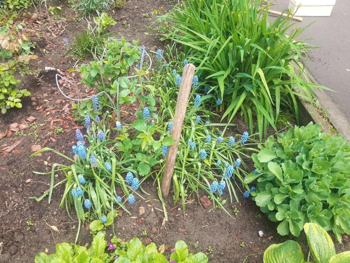 двор, доброе дело,