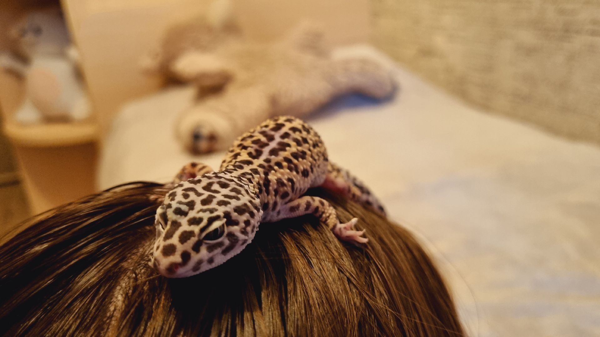 Подмосковье, Ивантеевка, общество