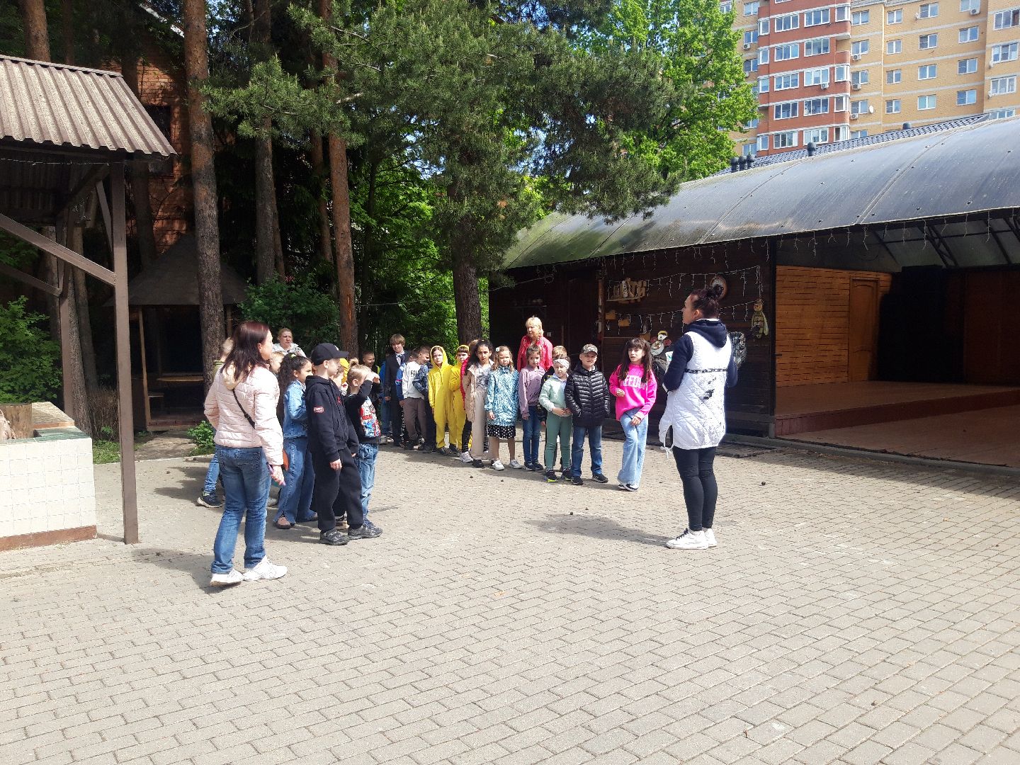 дети, школы,