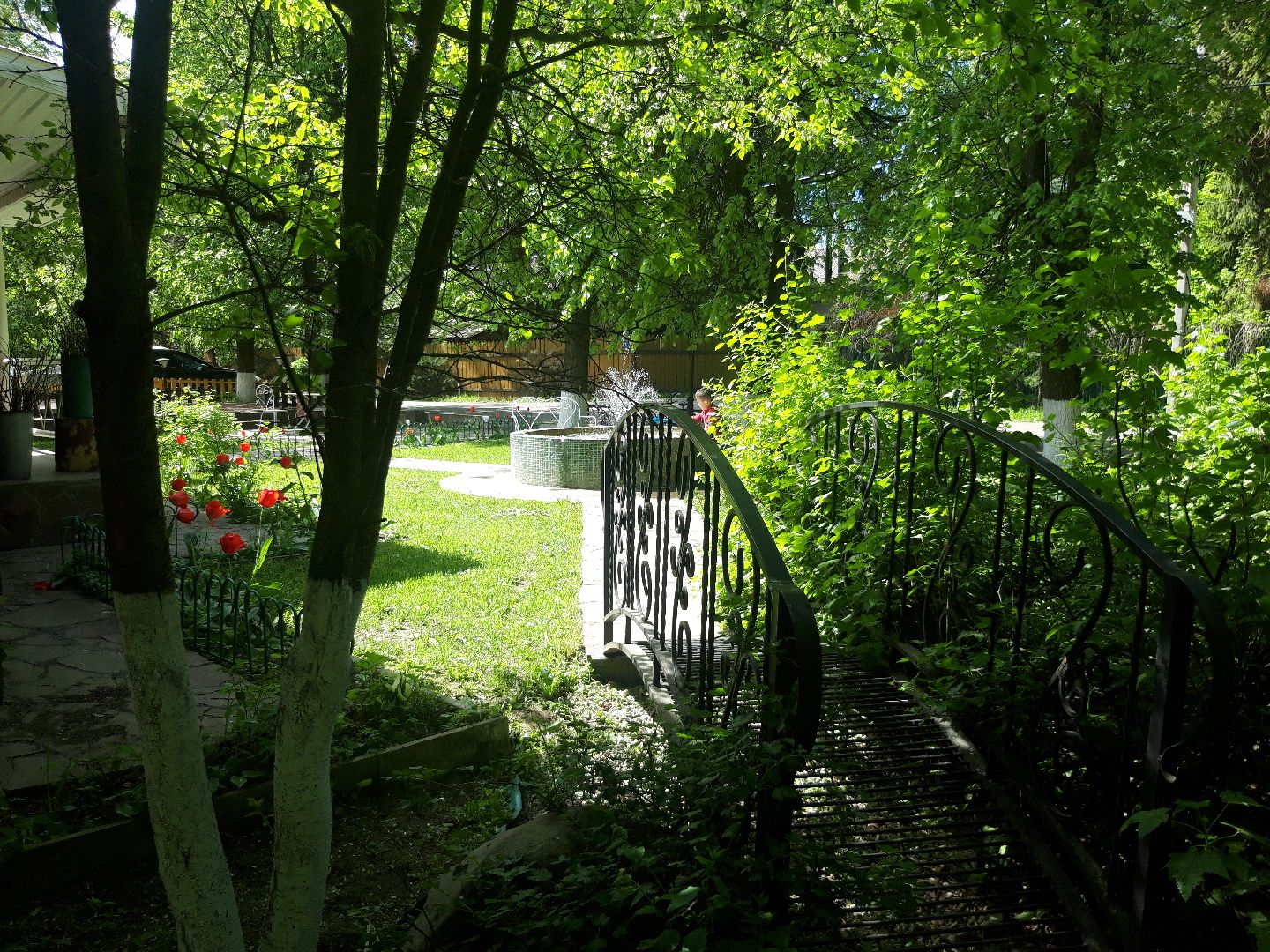 дети, школы,