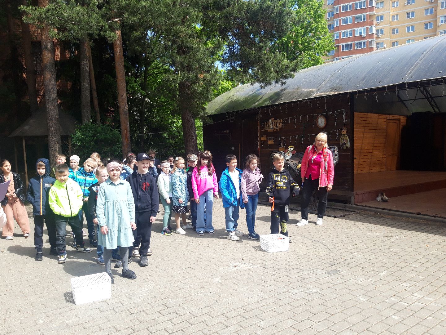 дети, школы,