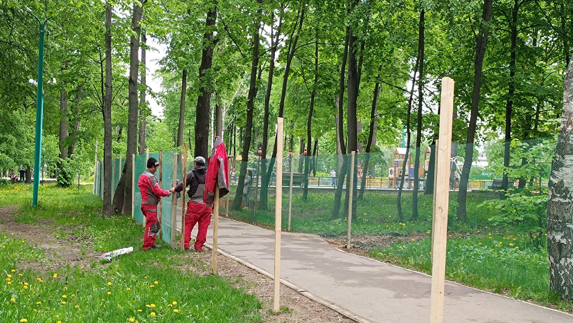Лобня, благоустройство, парк, озеро