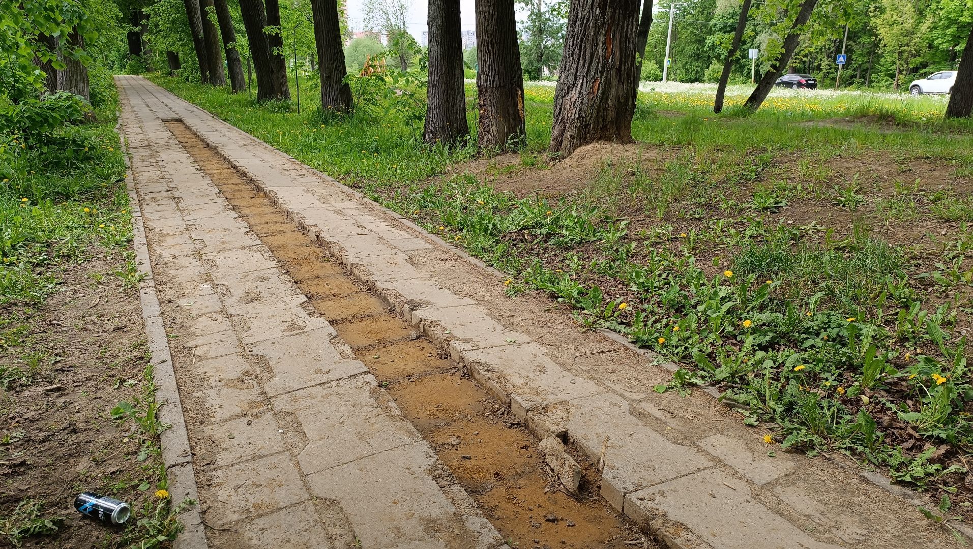 Лобня, благоустройство, парк, озеро