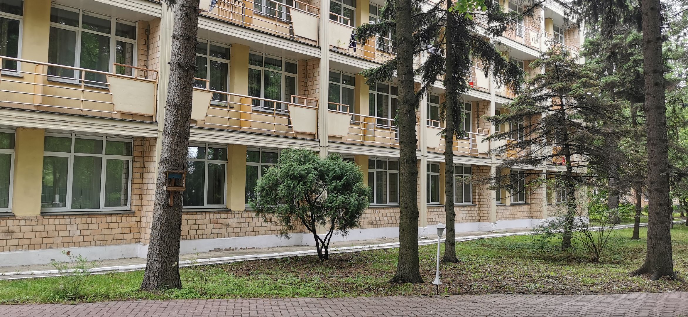 детский отдых, летние лагеря, дети,