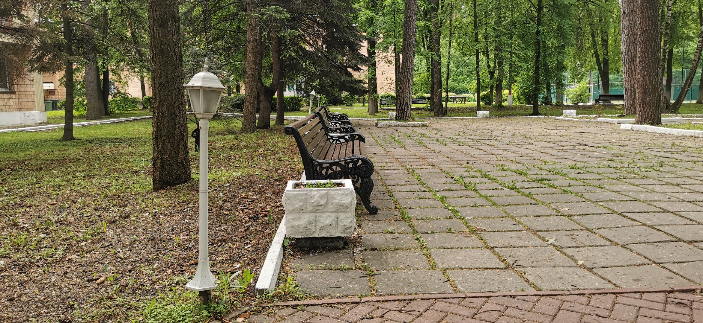 детский отдых, летние лагеря, дети,