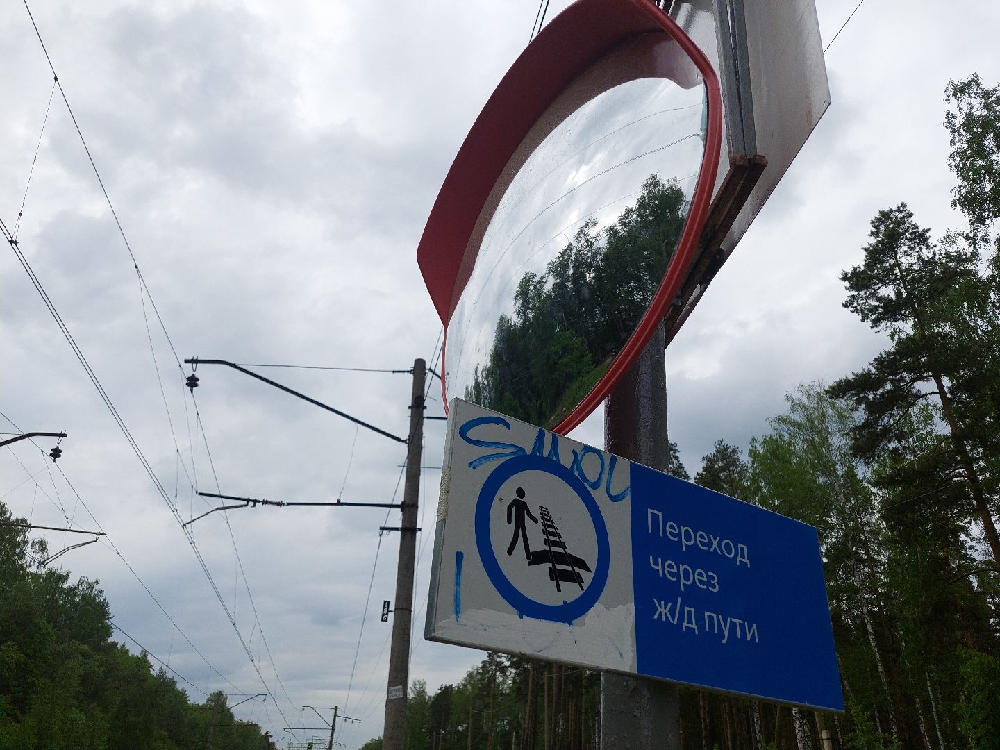 безопасность, железная дорога, общество, транспорт