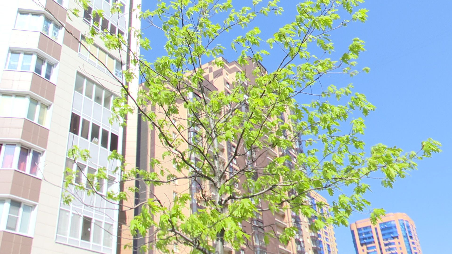 Реутов, Станислав Каторов, благоустройство, ЖКХ, качели, площадки, мусор, озеленение