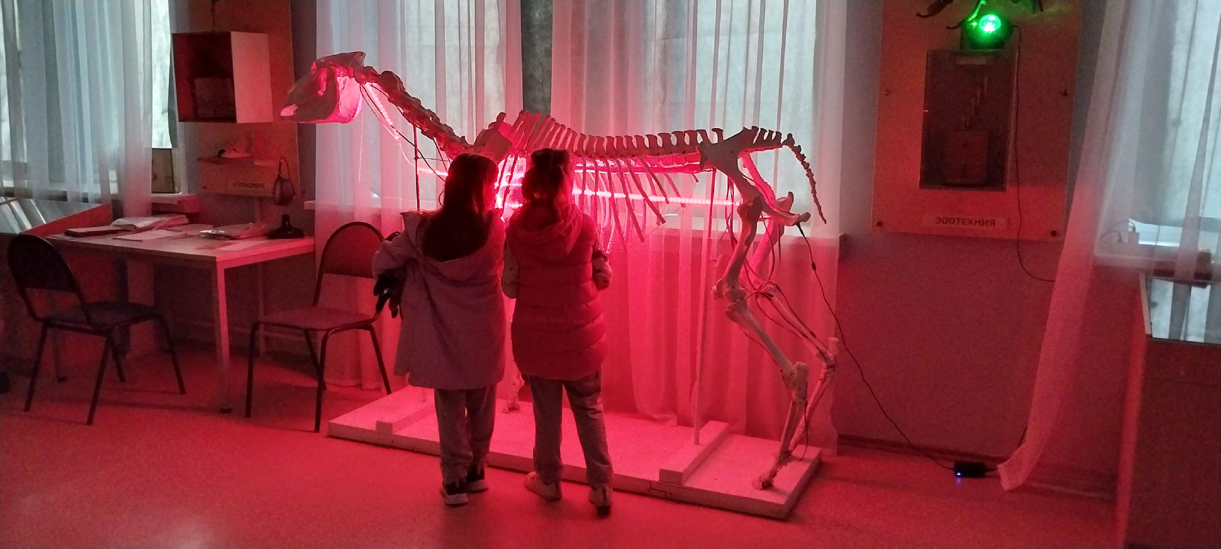 коломна, ночьмузеев, аграрный колледж