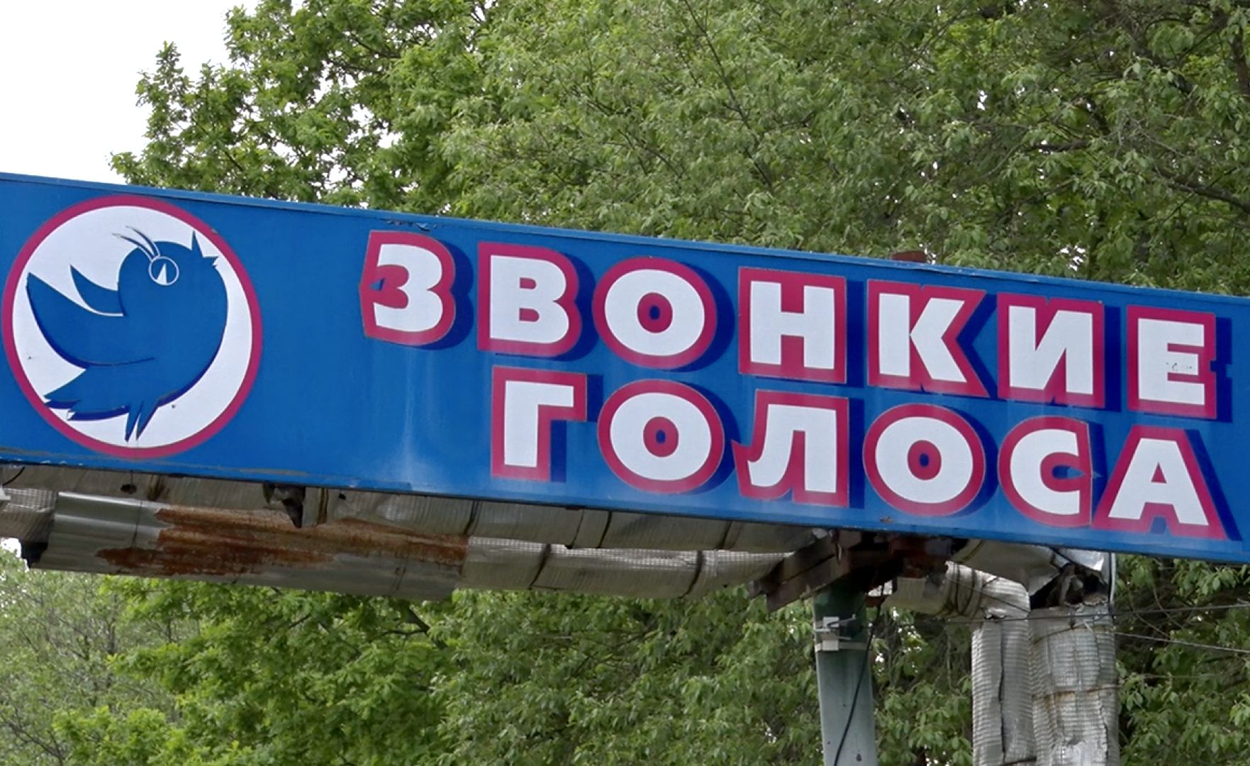 Клин, дети, выпускные, помощь, бизнес