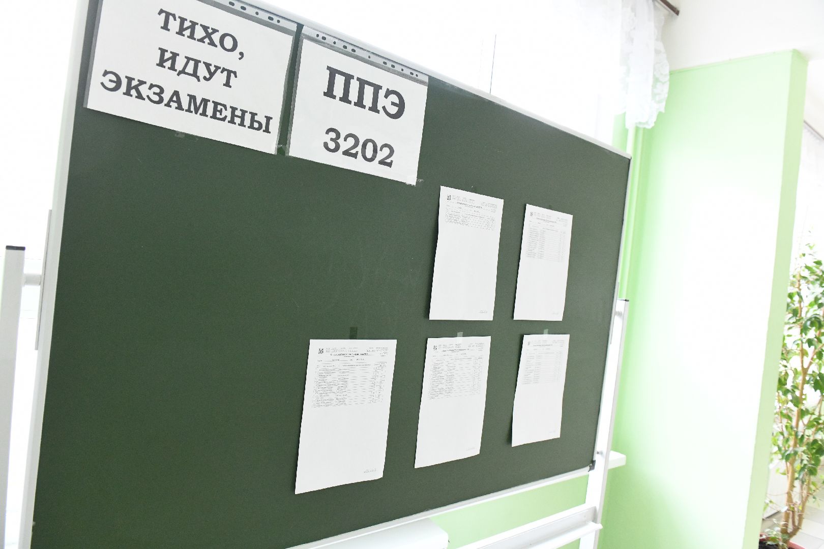 Лыткарино, огэ, старт