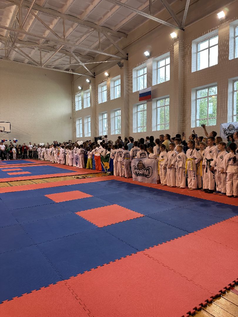 Балашиха, Подмосковье, спорт, тхэквондо, турниры