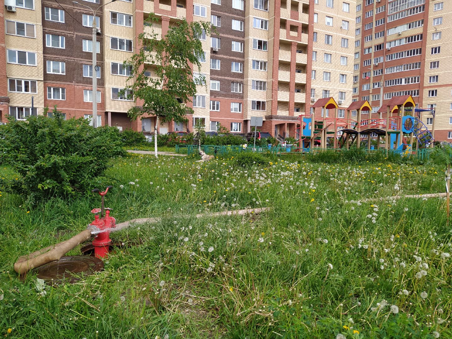 Водоканал, промывка, очистка, вода, водопровод