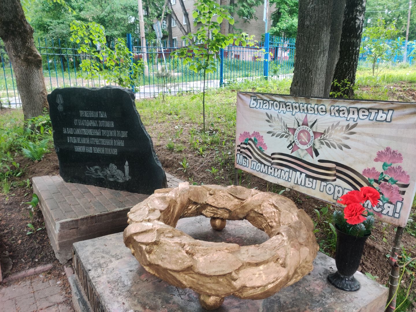 Красноармейск, Пушкинский, образование, кадеты