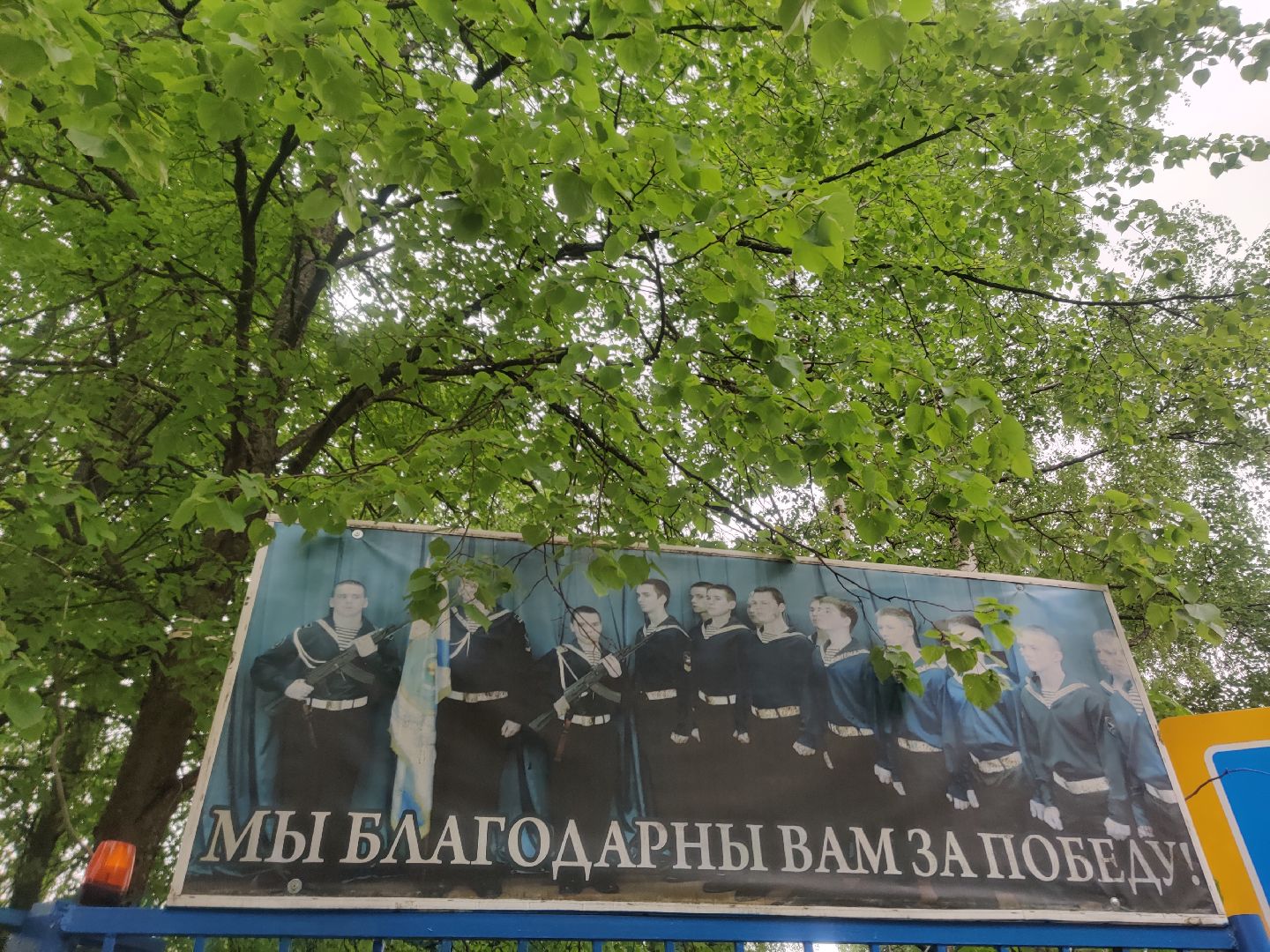 Красноармейск, Пушкинский, образование, кадеты