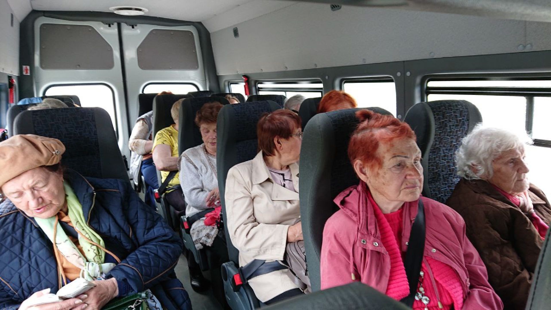 активное долголетие, парк патриот, экскурсия, пенсионеры, долголеты, серпухов,