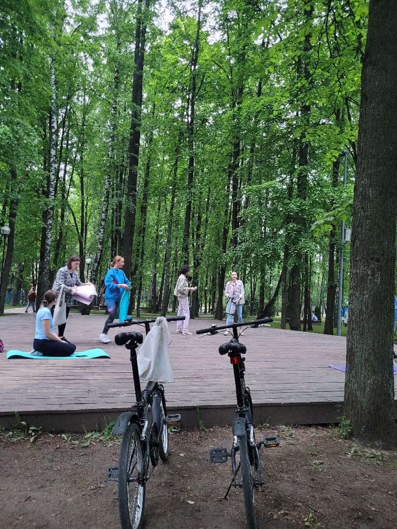 йога; видное; центральный парк; здоровье