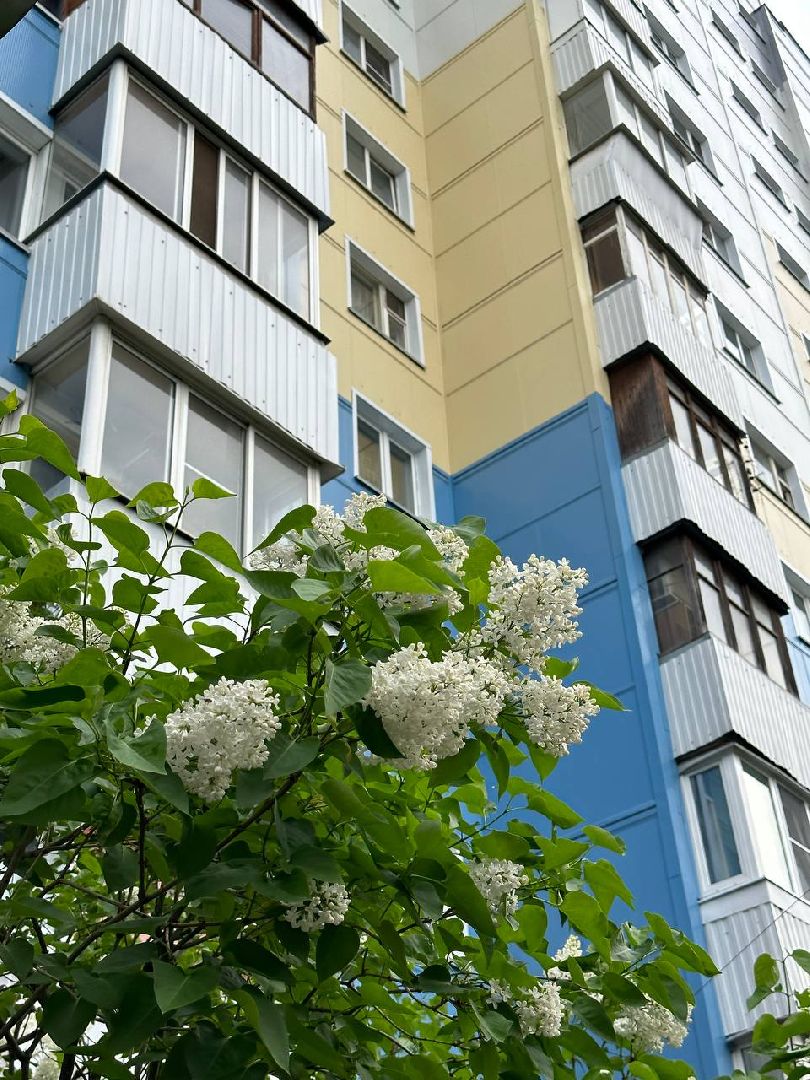 Реутов, ЖКХ, ремонт, лифты, оборудование