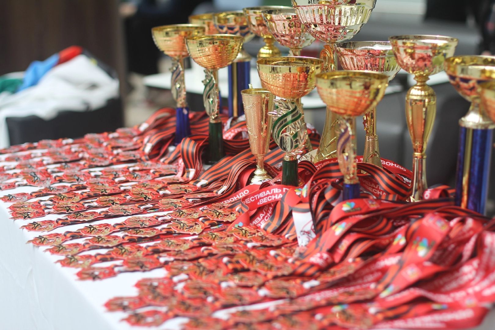 Подмосковье, Городской округ Пушкинский, спорт, тхэквондо