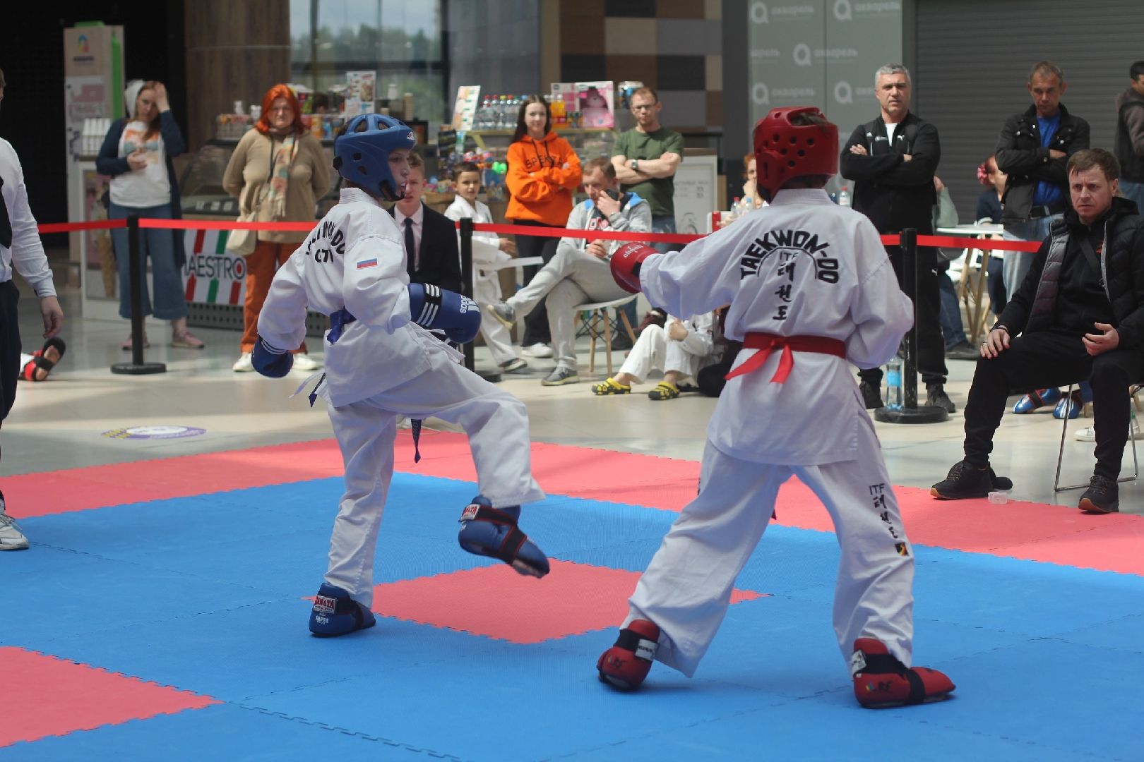 Подмосковье, Городской округ Пушкинский, спорт, тхэквондо