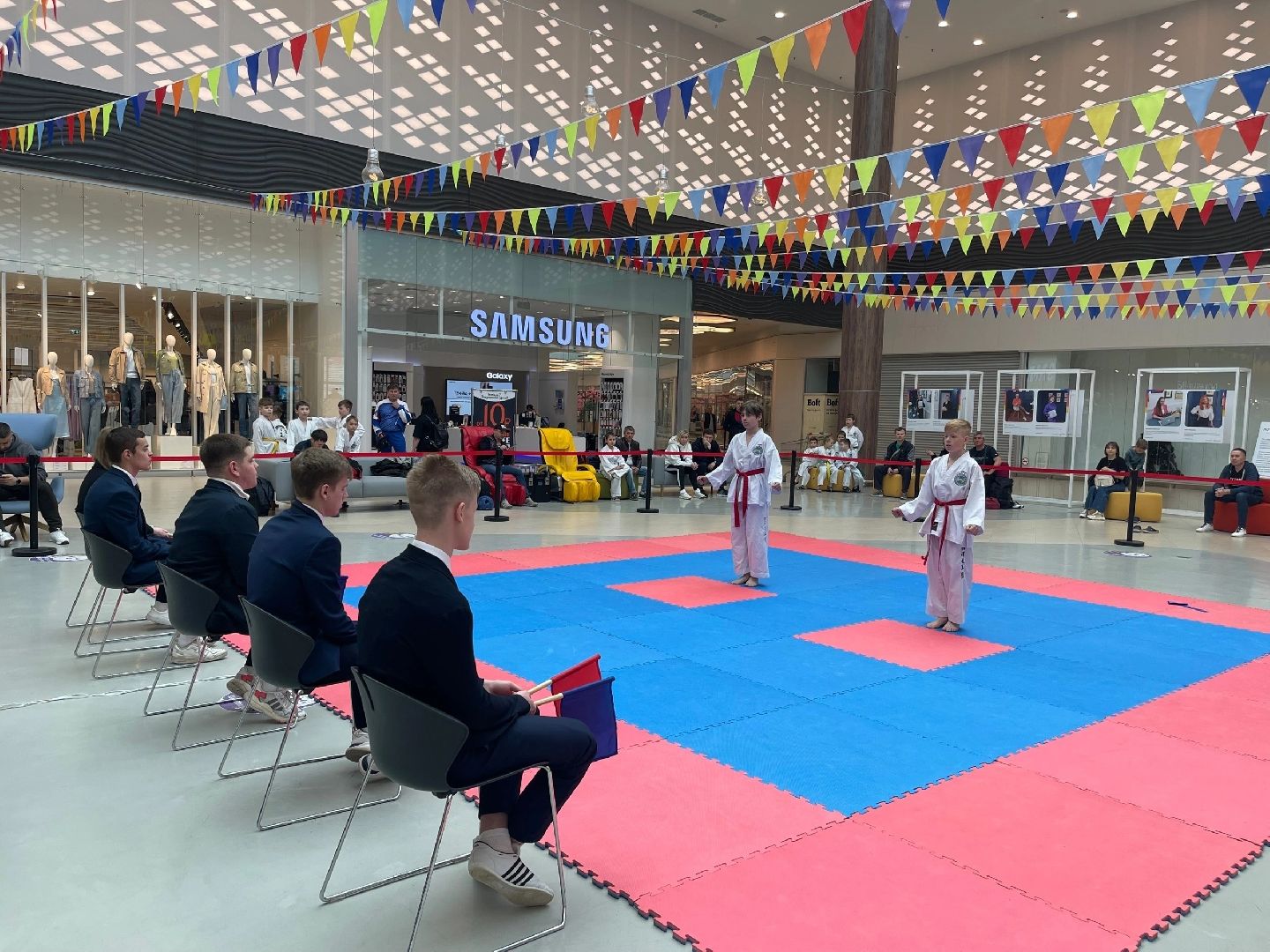 Подмосковье, Городской округ Пушкинский, спорт, тхэквондо