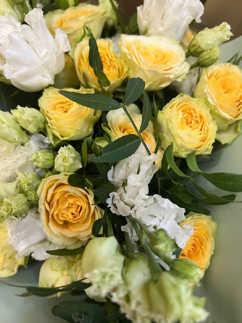 Солнечногорск, дети, сироты, квартиры, сертификаты