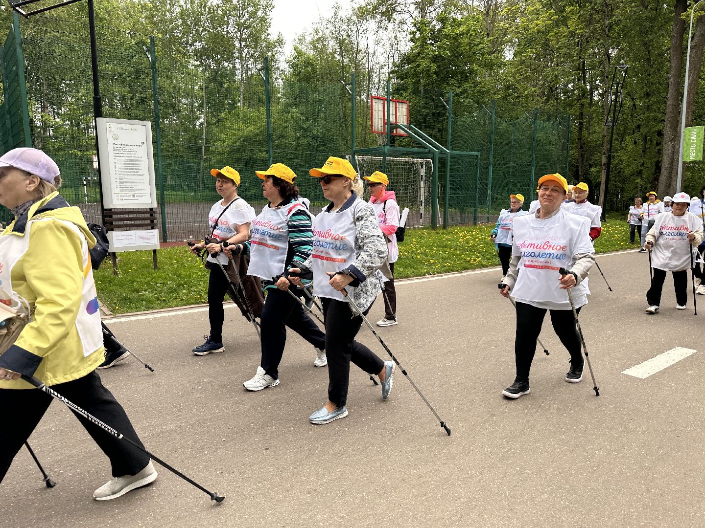 Одинцово, Активное Долголетие, Северная ходьба, Шаги Здоровья